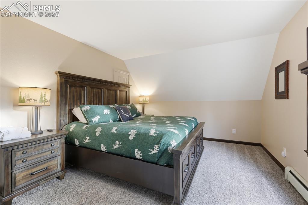 57 Trout Creek Circle Divide CO 80814