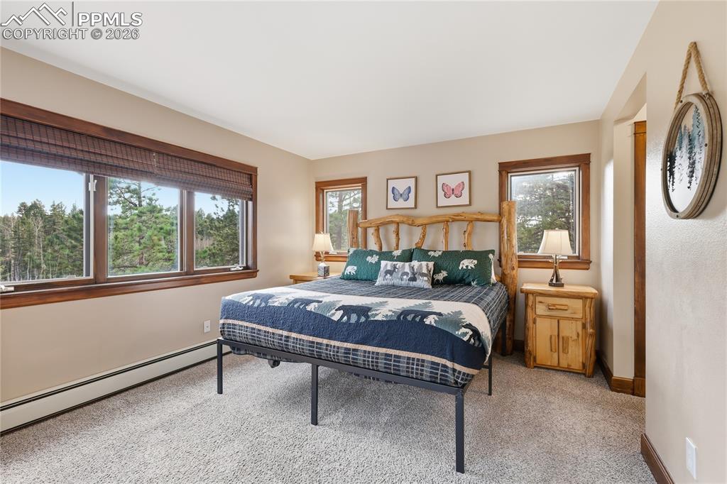 57 Trout Creek Circle Divide CO 80814