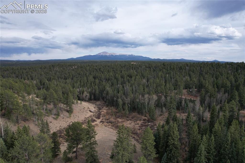 57 Trout Creek Circle Divide CO 80814