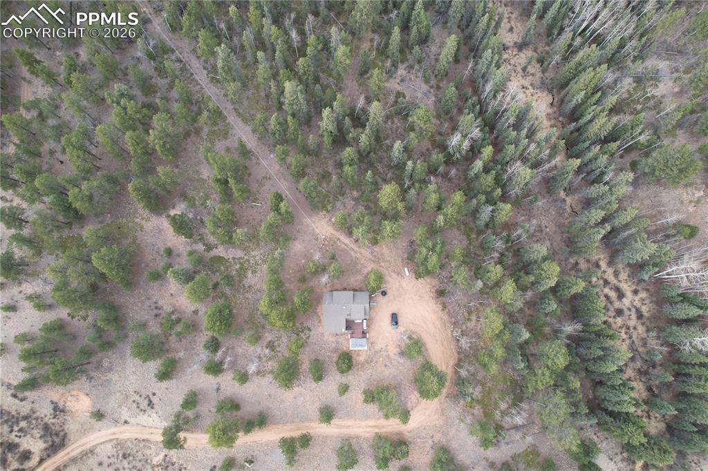 57 Trout Creek Circle Divide CO 80814