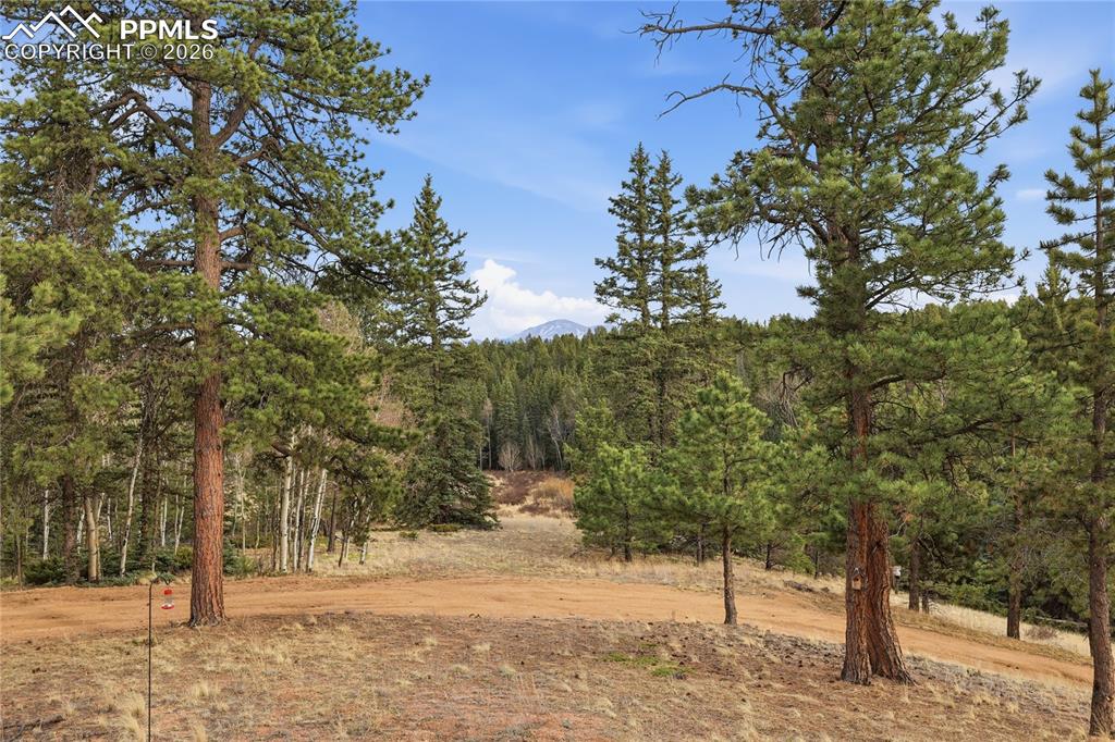 57 Trout Creek Circle Divide CO 80814