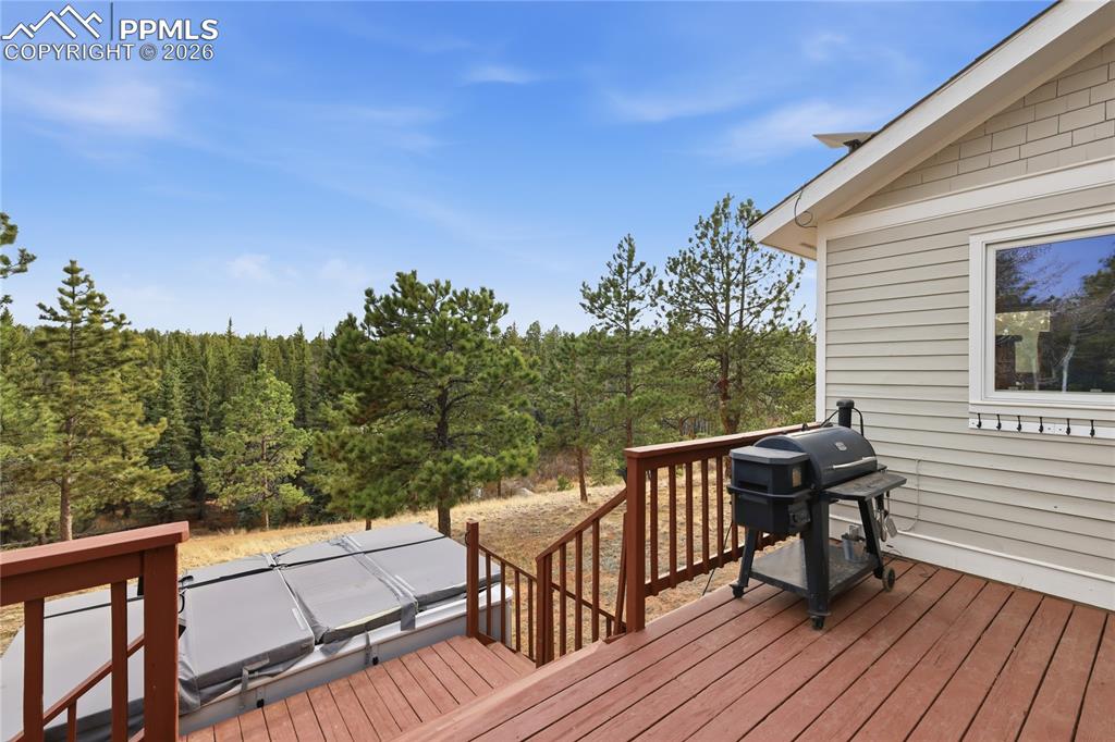 57 Trout Creek Circle Divide CO 80814