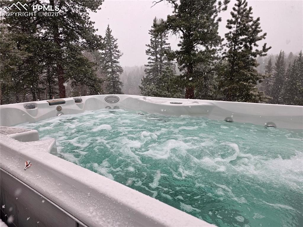 57 Trout Creek Circle Divide CO 80814