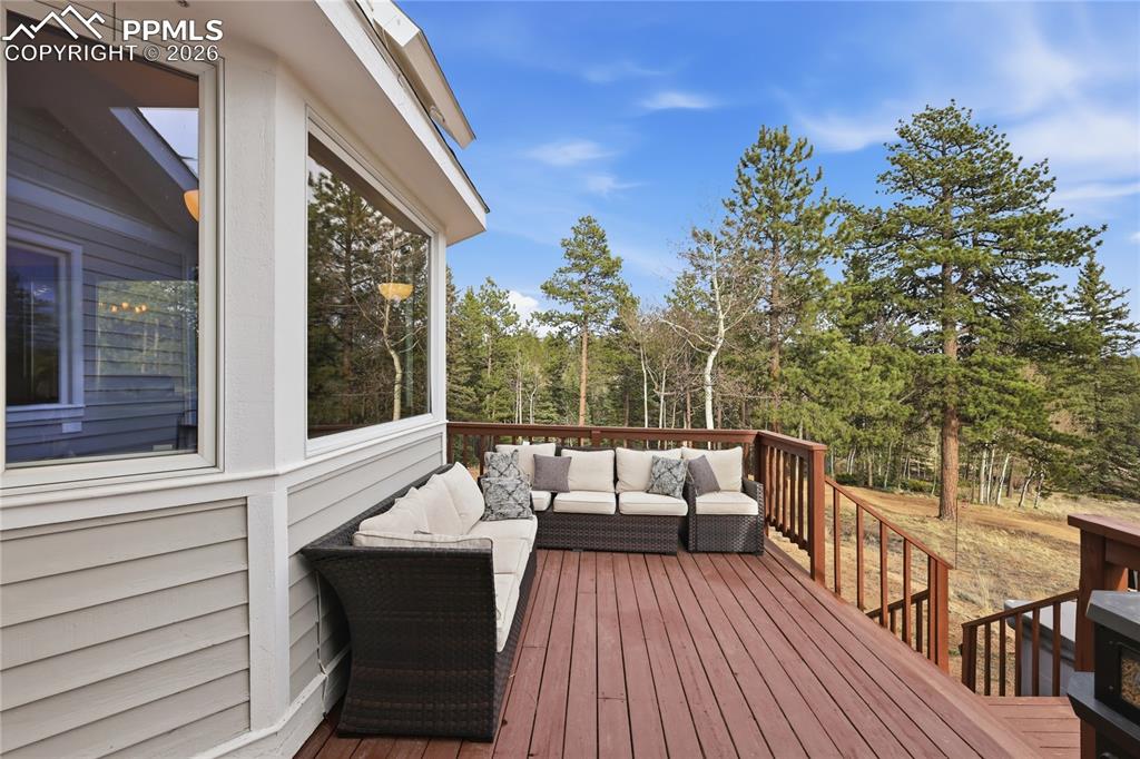 57 Trout Creek Circle Divide CO 80814