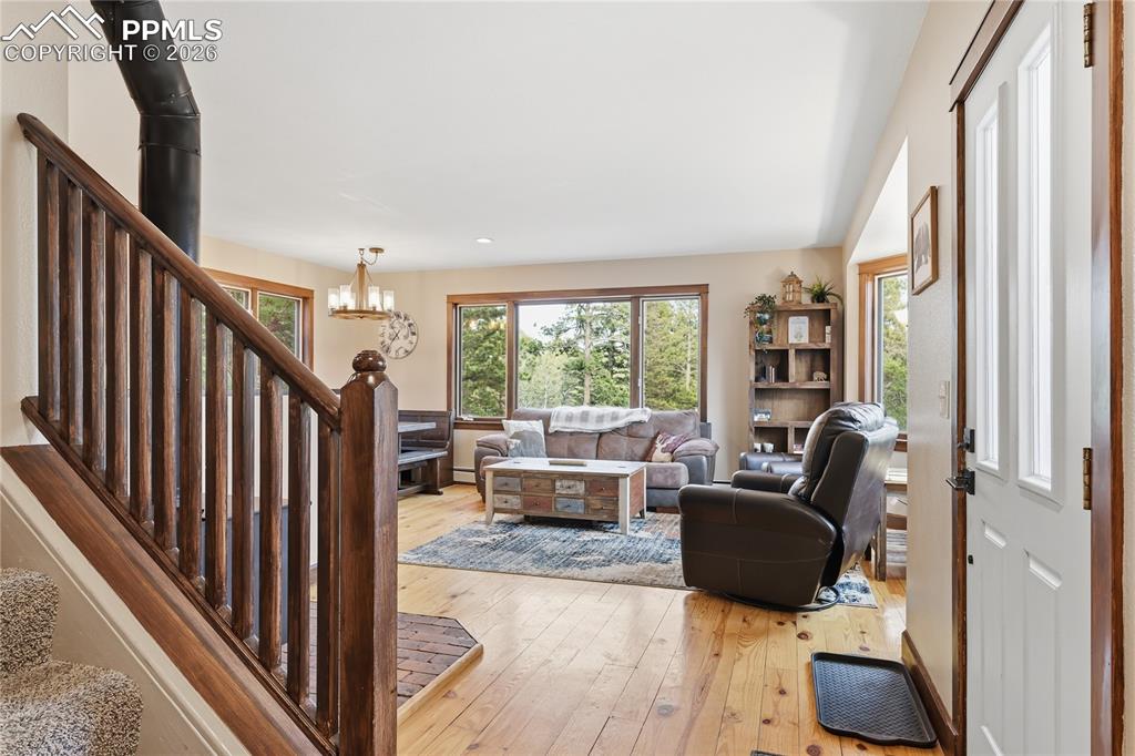 57 Trout Creek Circle Divide CO 80814