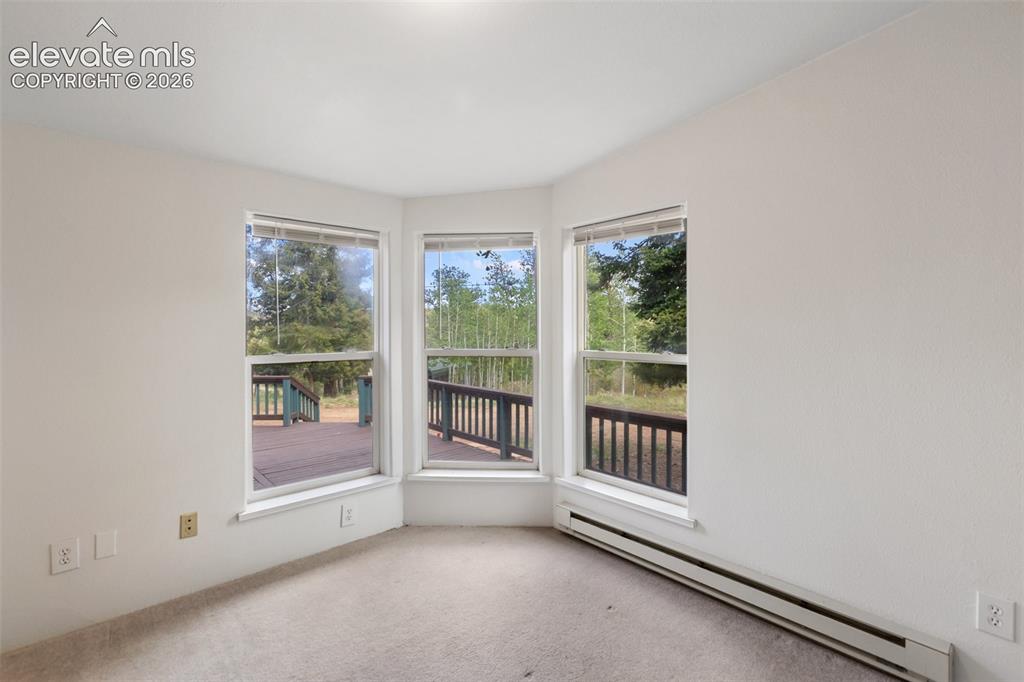 350 Brooks Lane Woodland Park CO 80863