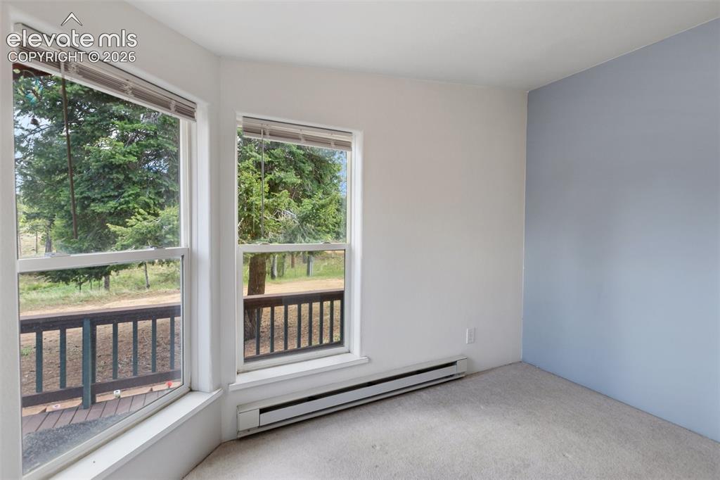 350 Brooks Lane Woodland Park CO 80863