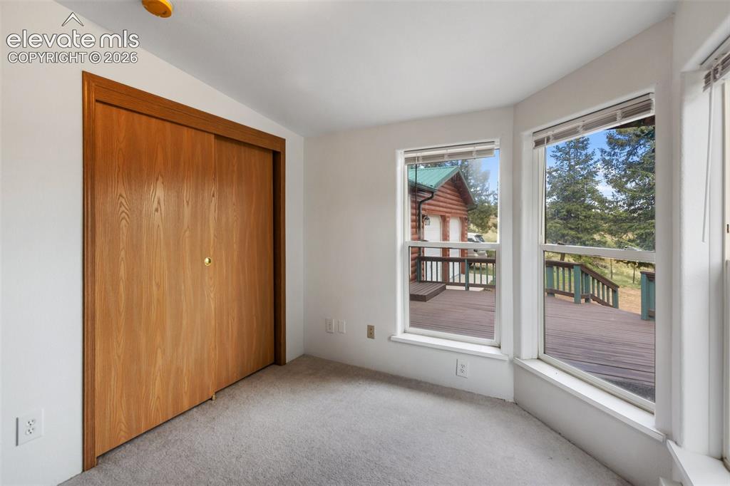 350 Brooks Lane Woodland Park CO 80863