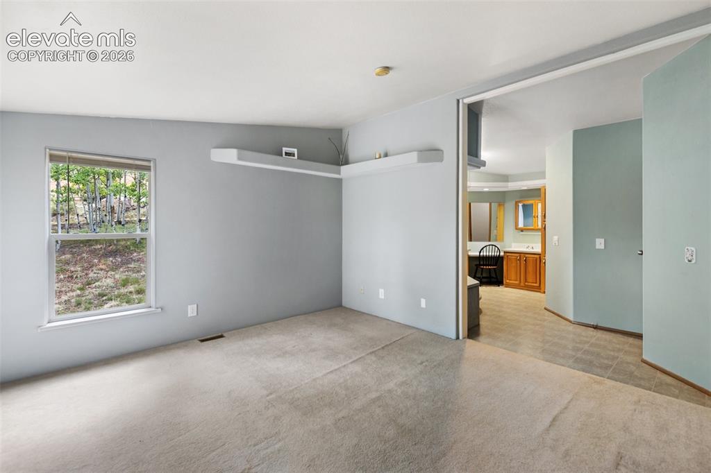 350 Brooks Lane Woodland Park CO 80863