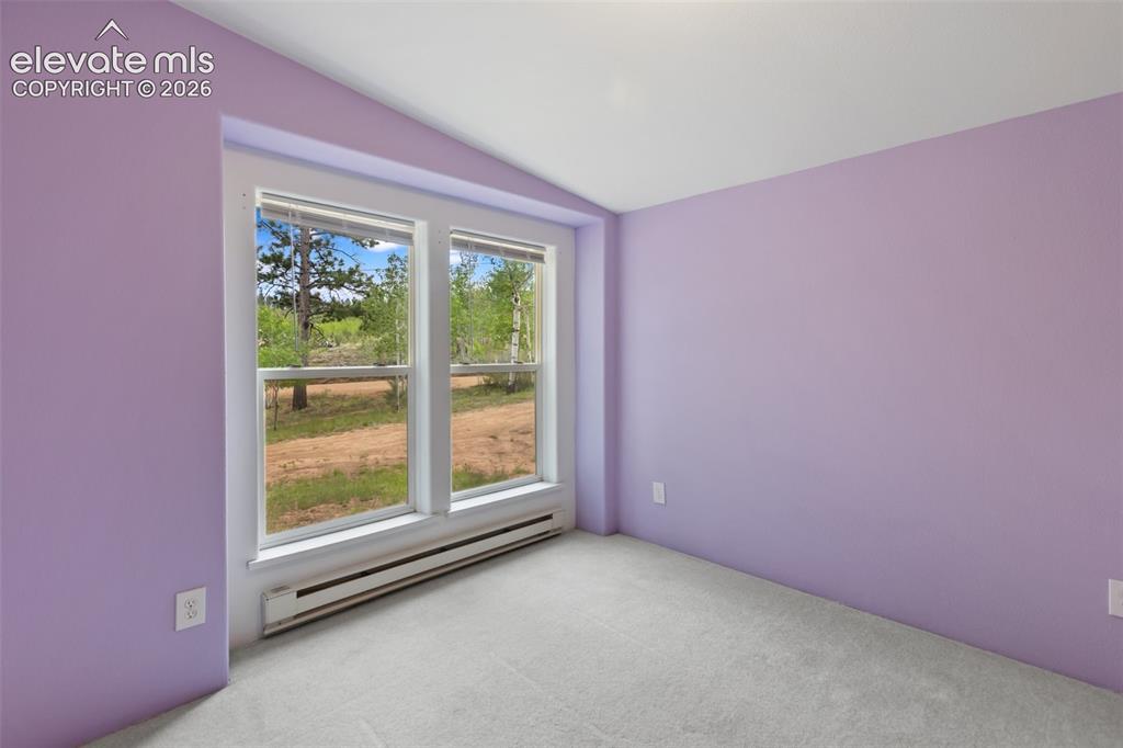 350 Brooks Lane Woodland Park CO 80863