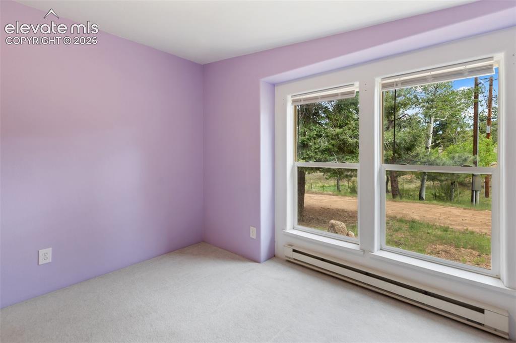 350 Brooks Lane Woodland Park CO 80863