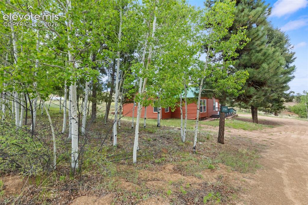 350 Brooks Lane Woodland Park CO 80863