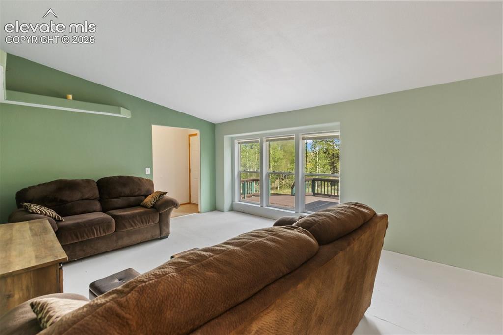 350 Brooks Lane Woodland Park CO 80863
