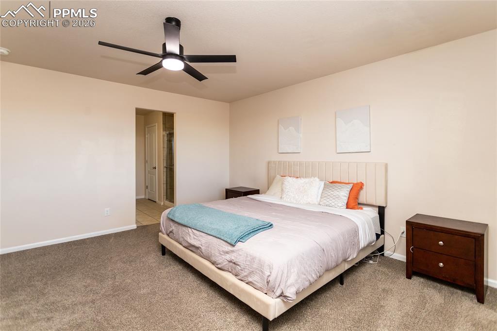 6735 Monterey Pine Loop Colorado Springs CO 80927