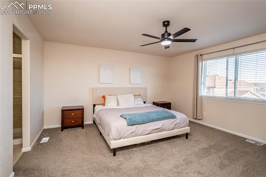 6735 Monterey Pine Loop Colorado Springs CO 80927