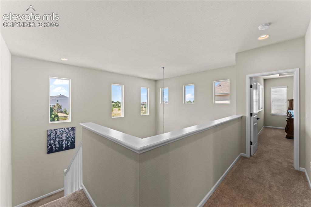 3851 Long Rifle Drive Castle Rock CO 80108
