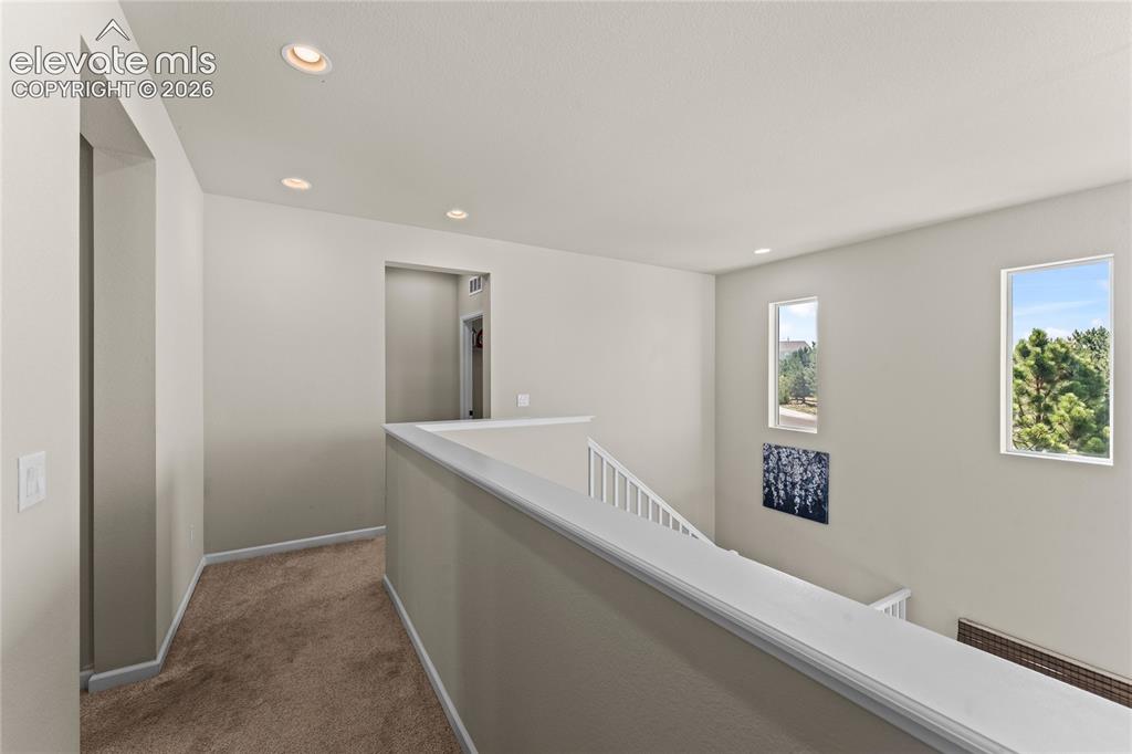 3851 Long Rifle Drive Castle Rock CO 80108