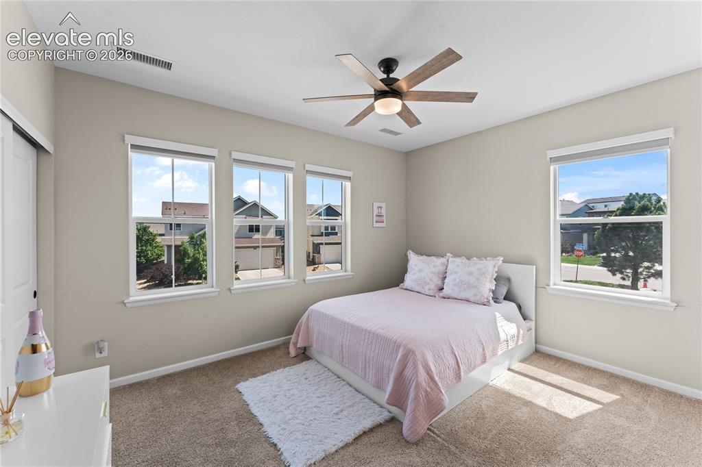 3851 Long Rifle Drive Castle Rock CO 80108