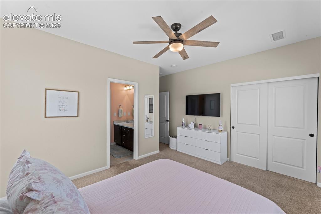 3851 Long Rifle Drive Castle Rock CO 80108