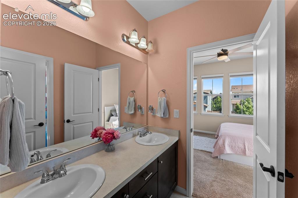 3851 Long Rifle Drive Castle Rock CO 80108