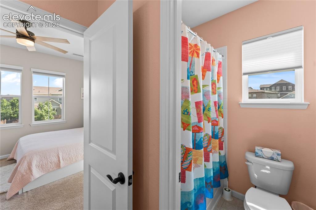 3851 Long Rifle Drive Castle Rock CO 80108