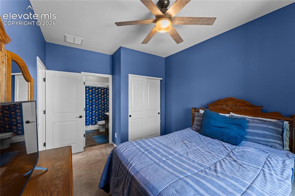 3851 Long Rifle Drive Castle Rock CO 80108