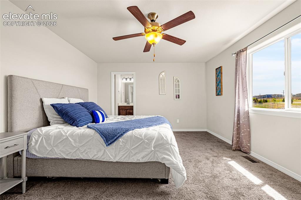6167 Mumford Drive Colorado Springs CO 80925