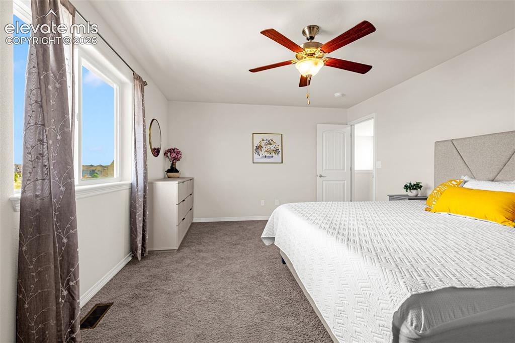 6167 Mumford Drive Colorado Springs CO 80925