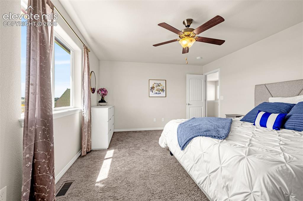 6167 Mumford Drive Colorado Springs CO 80925