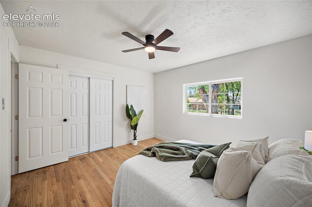 141 Esther Drive Colorado Springs CO 80911
