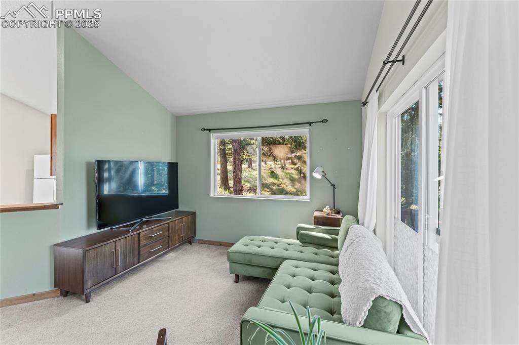 215 Southpark Road Florissant CO 80816