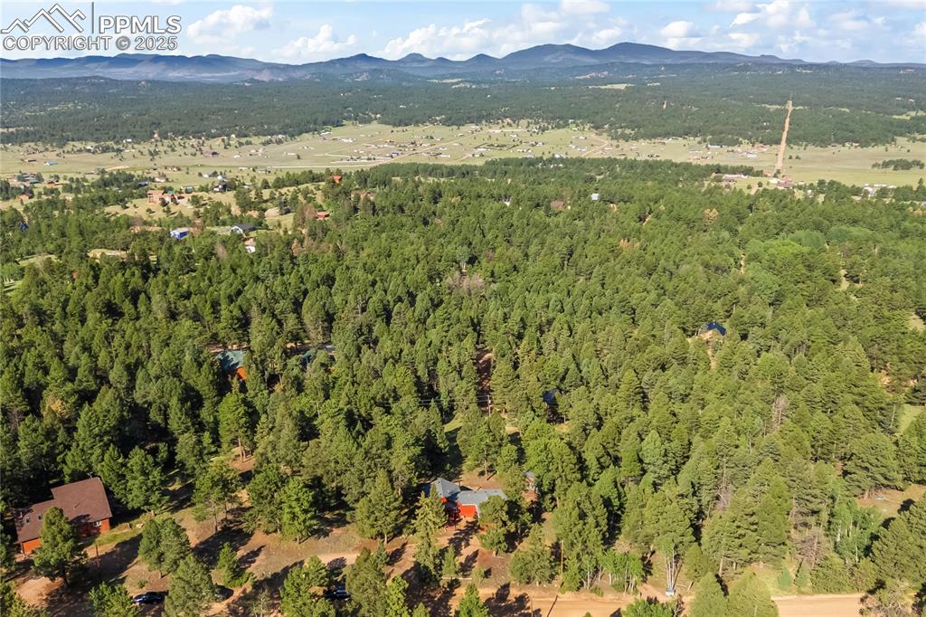 215 Southpark Road Florissant CO 80816
