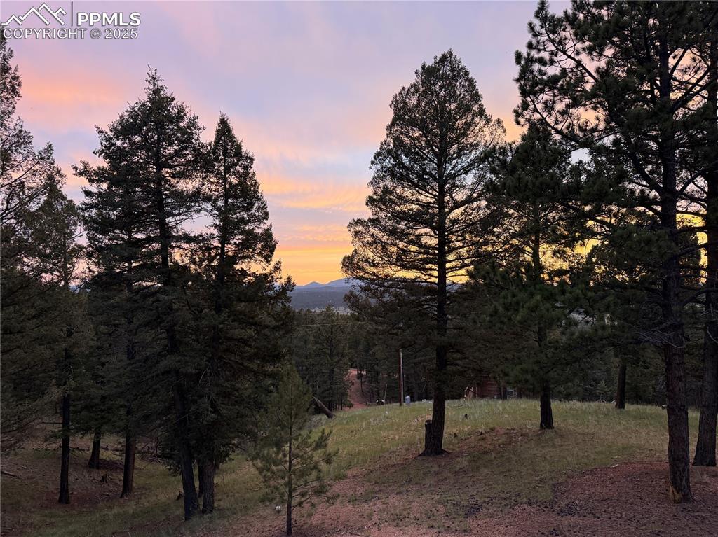 215 Southpark Road Florissant CO 80816