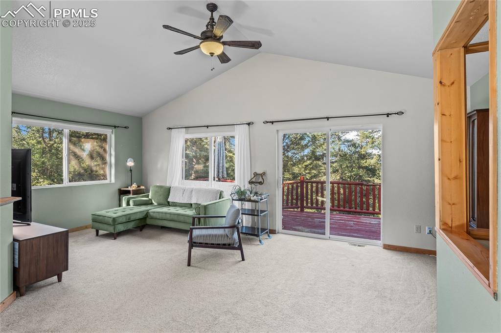 215 Southpark Road Florissant CO 80816