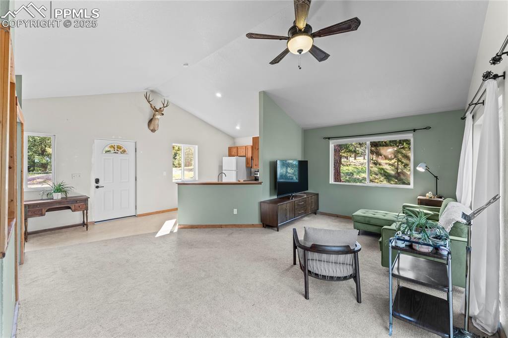 215 Southpark Road Florissant CO 80816