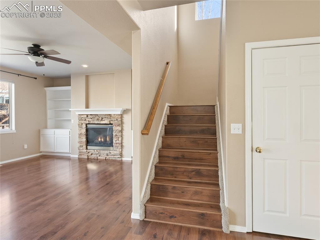 9979 Rose Leaf Court Colorado Springs CO 80920