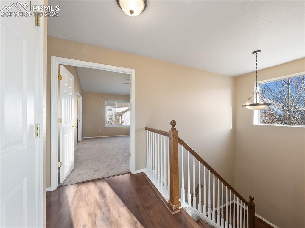 9979 Rose Leaf Court Colorado Springs CO 80920