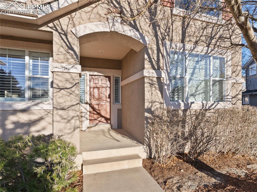 9979 Rose Leaf Court Colorado Springs CO 80920