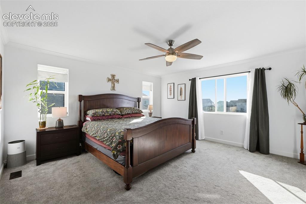 6151 Vickie Lane Colorado Springs CO 80923