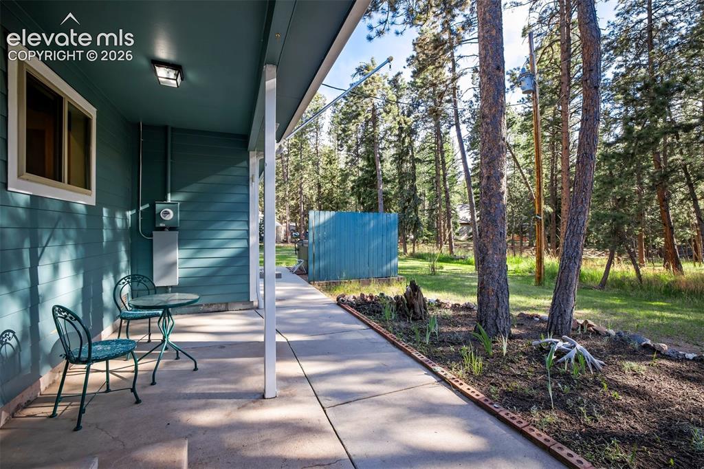 167 E Kelleys Road Woodland Park CO 80863