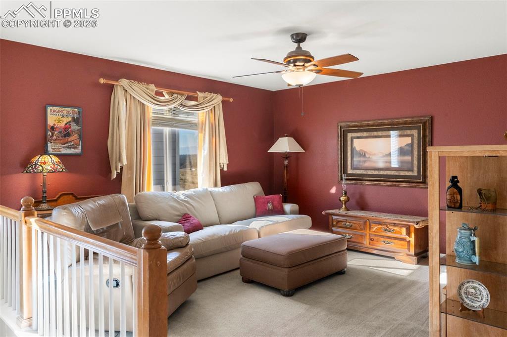 14336 White Peak Drive Monument CO 80921