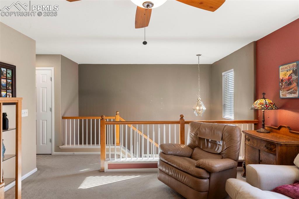 14336 White Peak Drive Monument CO 80921