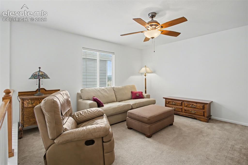 14336 White Peak Drive Monument CO 80921