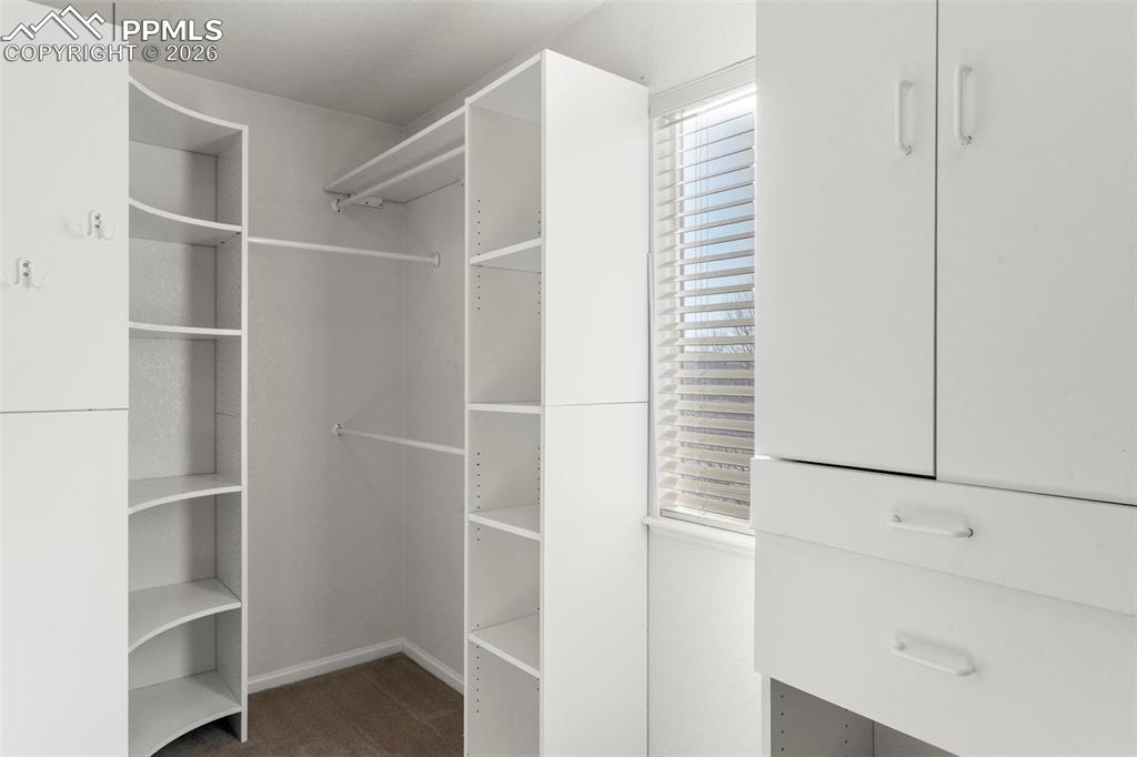 14336 White Peak Drive Monument CO 80921