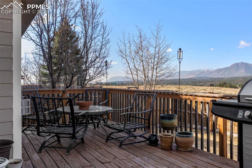 14336 White Peak Drive Monument CO 80921