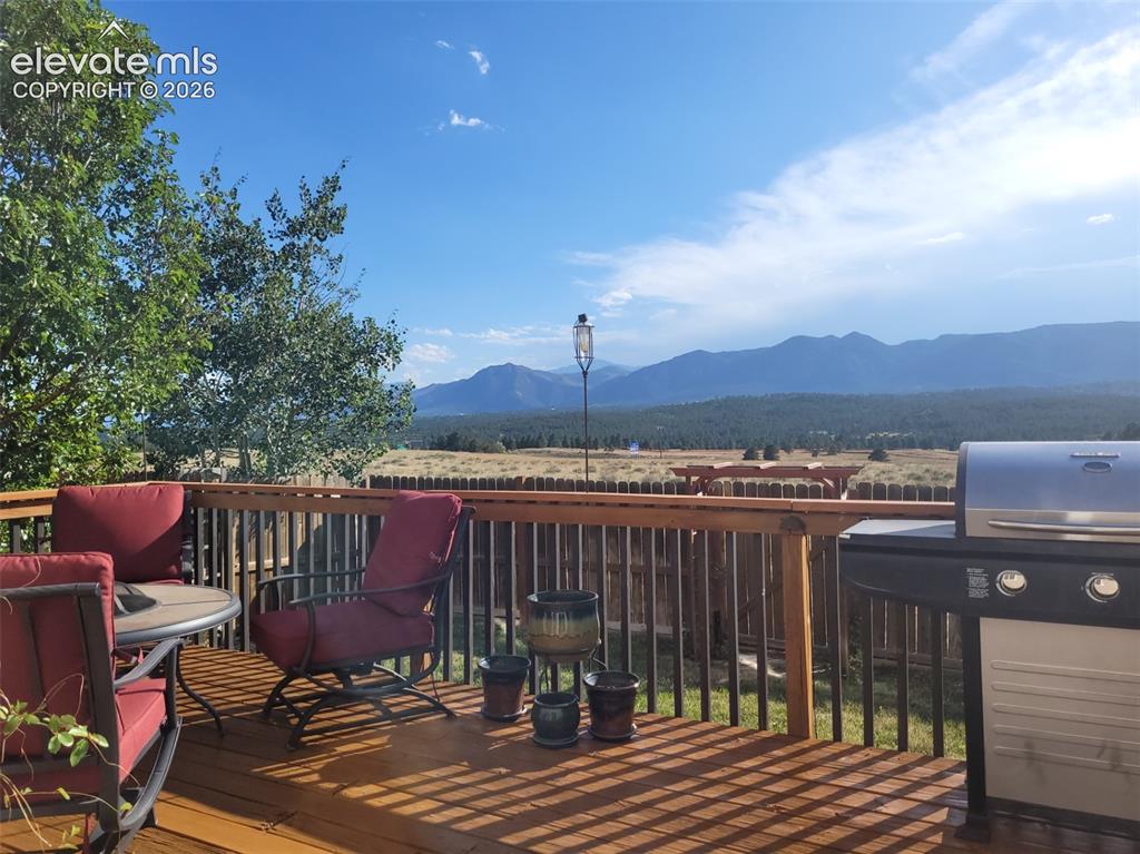 14336 White Peak Drive Monument CO 80921