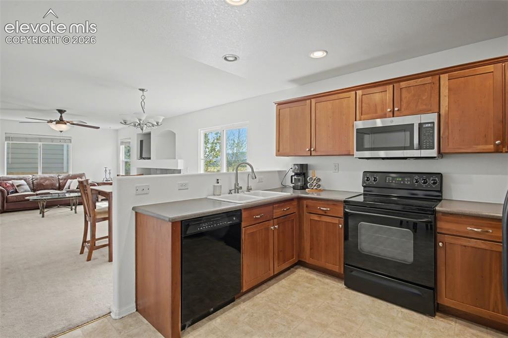 14336 White Peak Drive Monument CO 80921