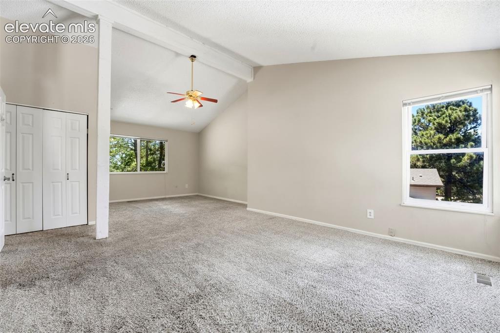 5945 Del Paz Drive Colorado Springs CO 80918