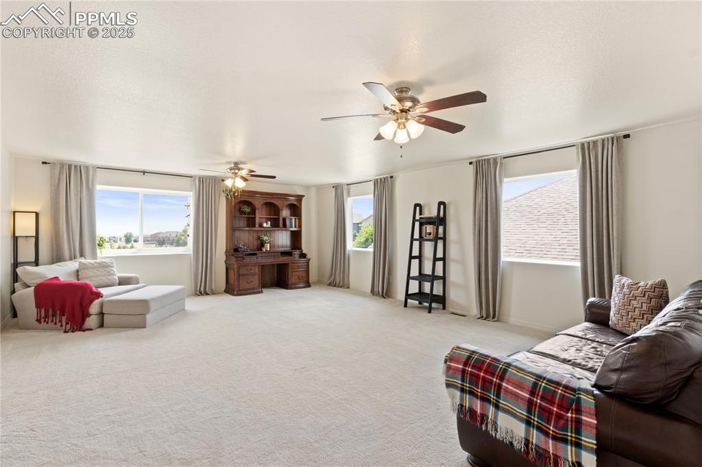2245 Reed Grass Way Colorado Springs CO 80915