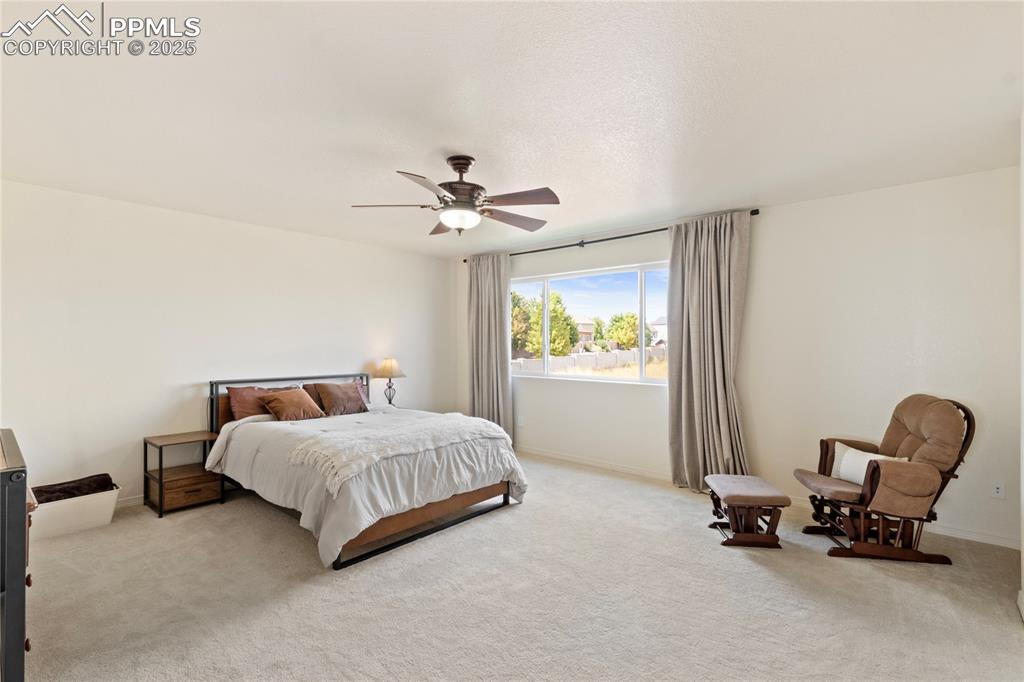 2245 Reed Grass Way Colorado Springs CO 80915